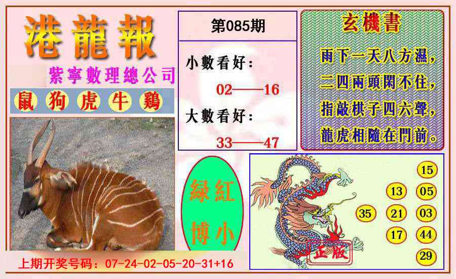 085期港龙报[图]