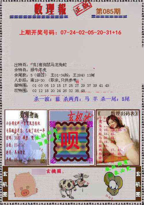 085期数理报[图]