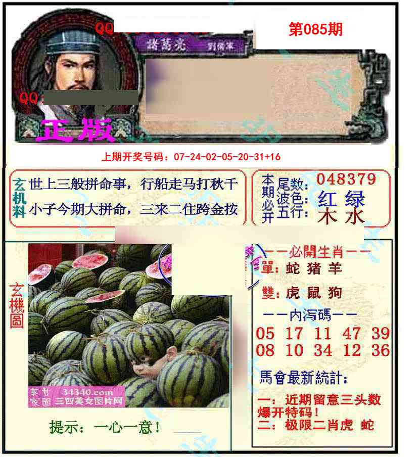 085期正宗孔明[图]