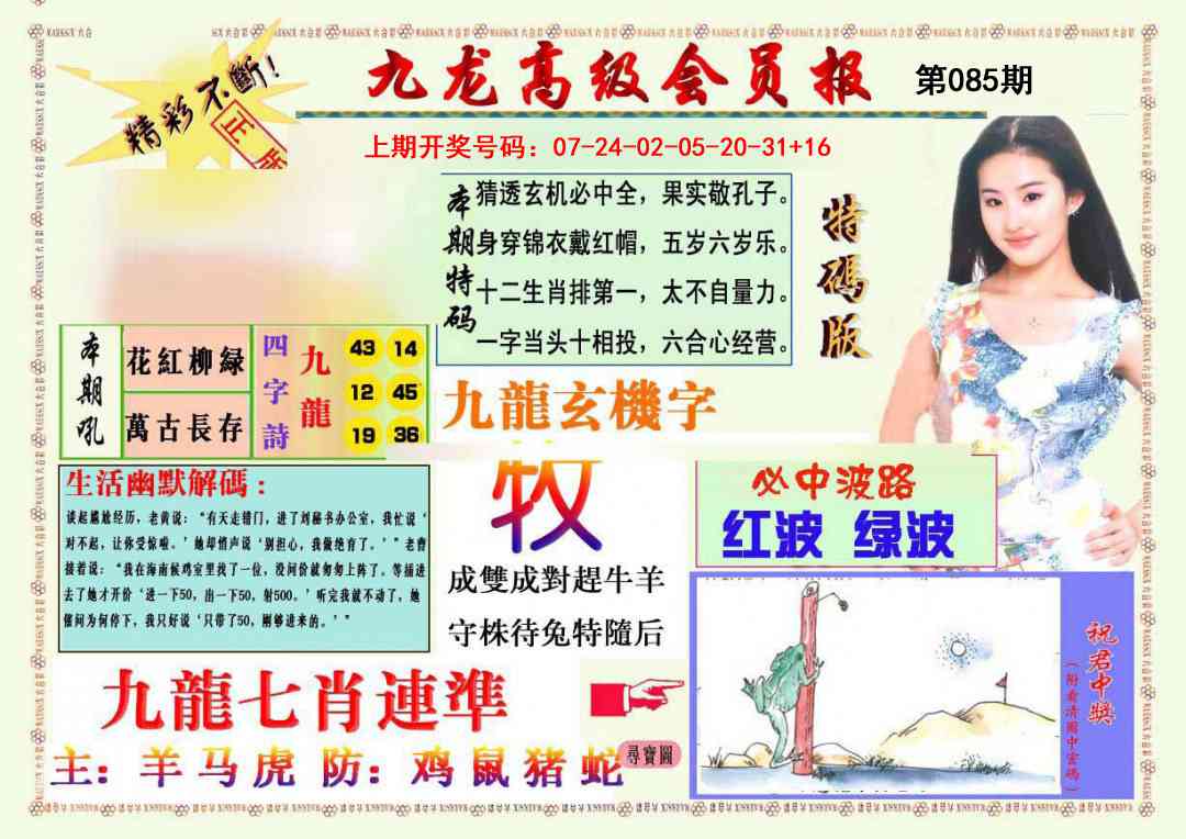 085期九龙高级会员报[图]